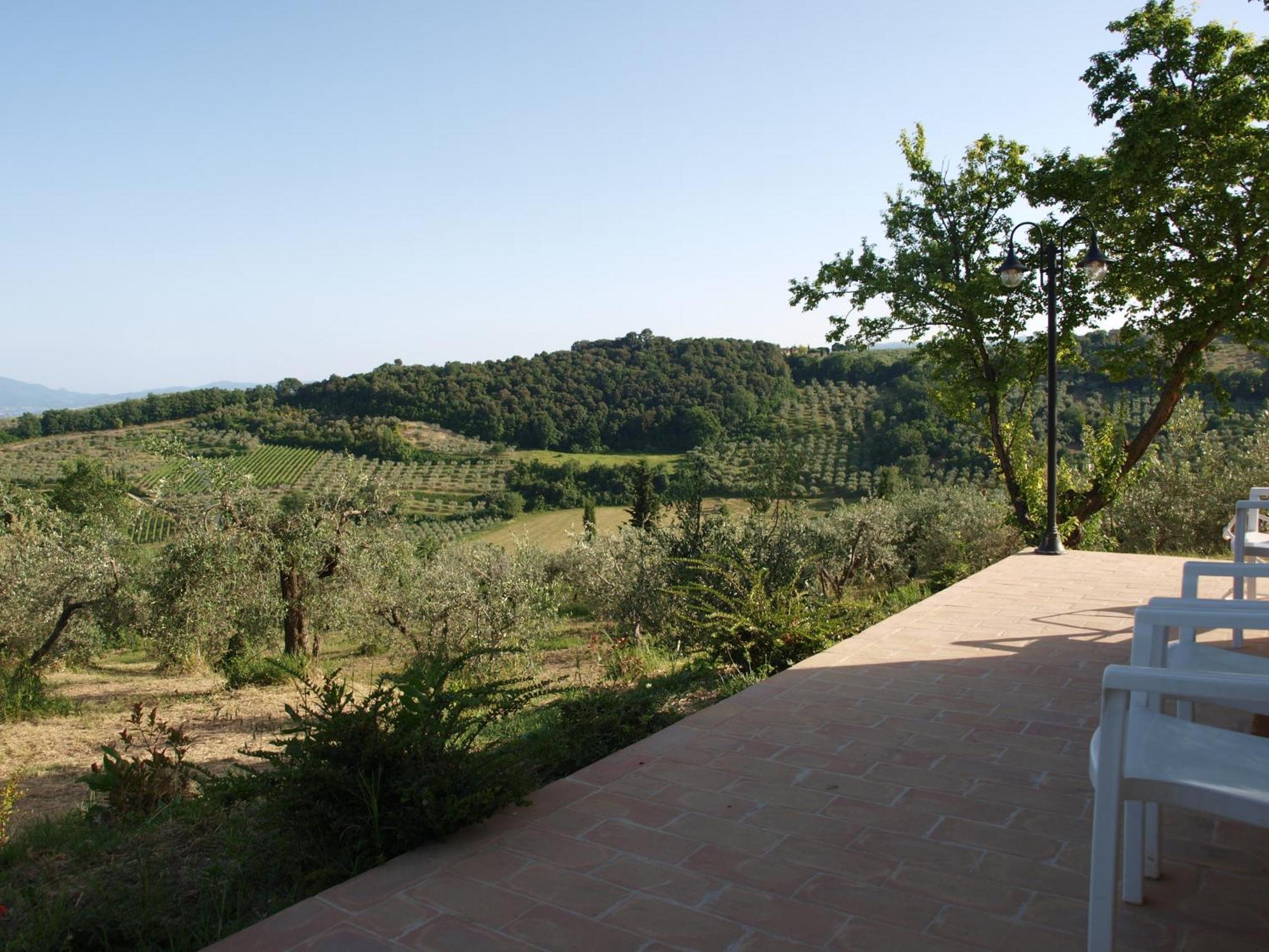 מונטפאלקו Agriturismo Camiano Piccolo מראה חיצוני תמונה