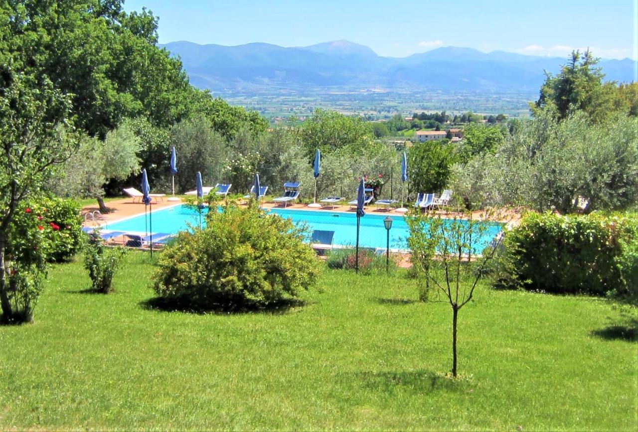 מונטפאלקו Agriturismo Camiano Piccolo מראה חיצוני תמונה