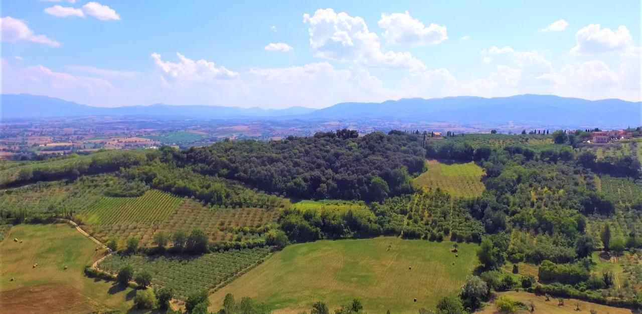 מונטפאלקו Agriturismo Camiano Piccolo מראה חיצוני תמונה