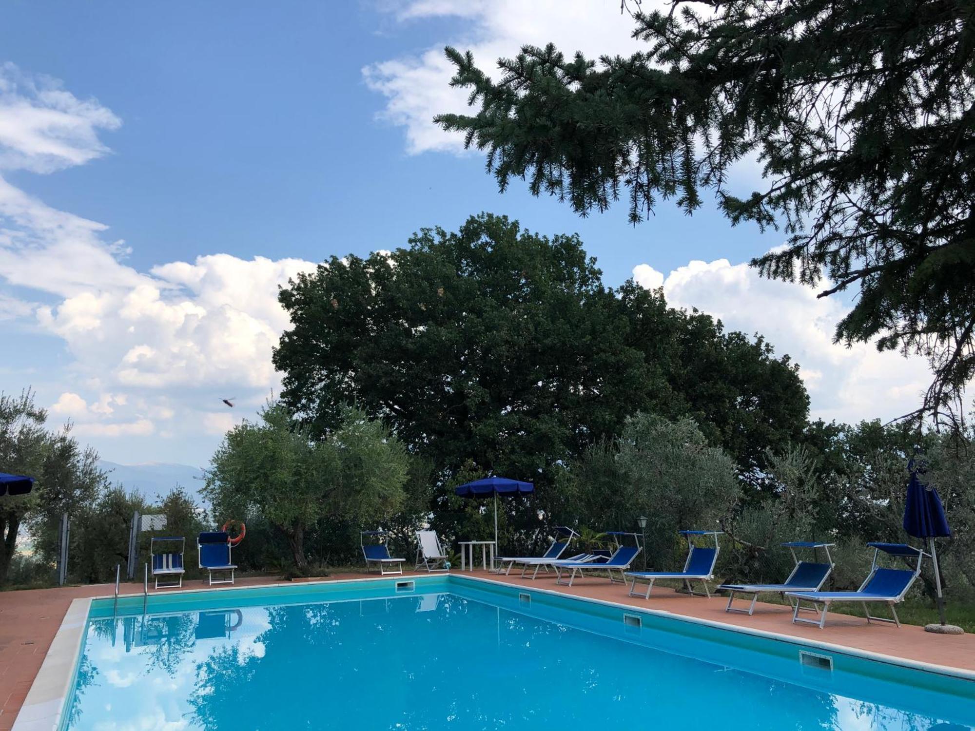מונטפאלקו Agriturismo Camiano Piccolo מראה חיצוני תמונה