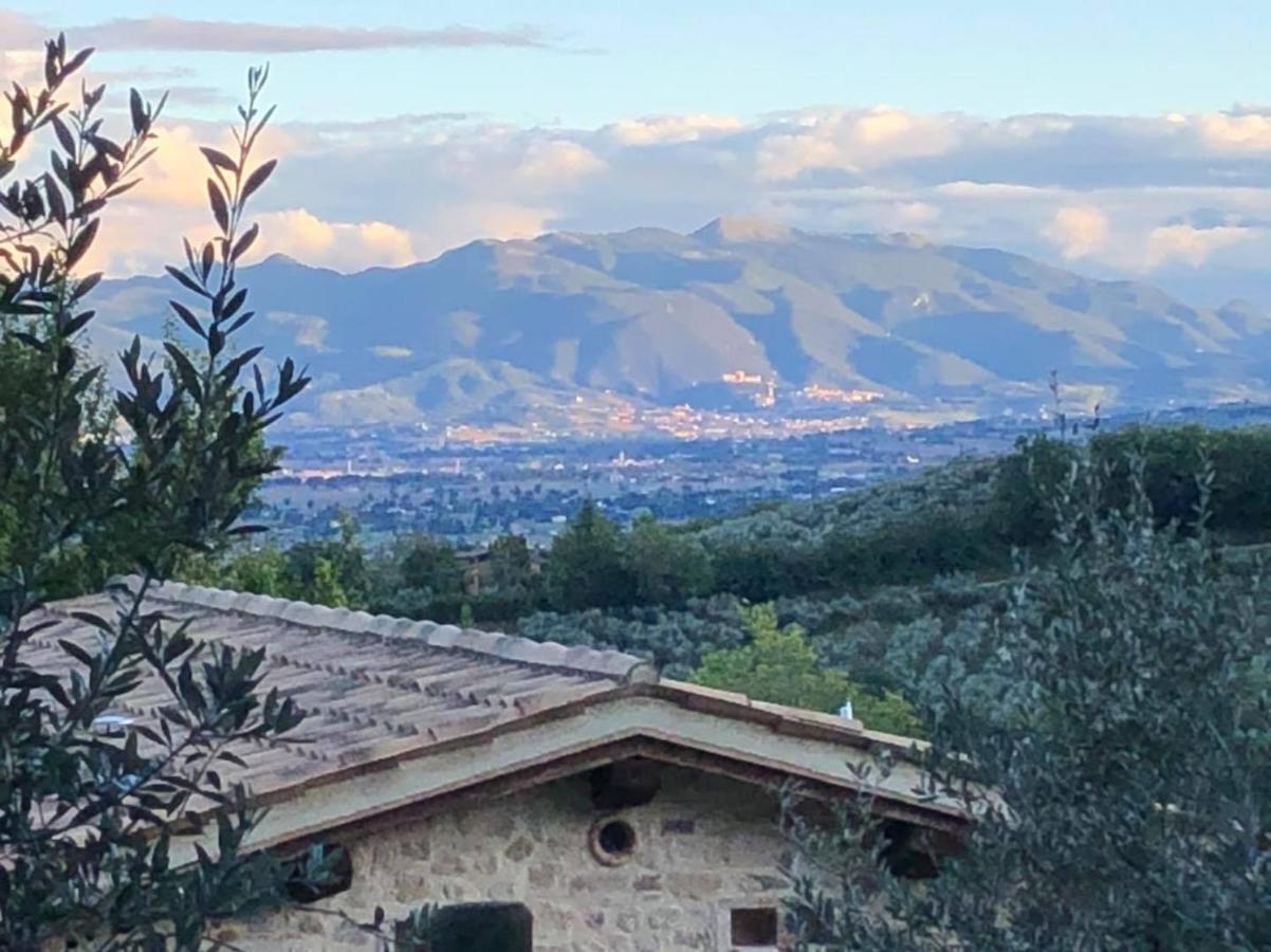 מונטפאלקו Agriturismo Camiano Piccolo מראה חיצוני תמונה