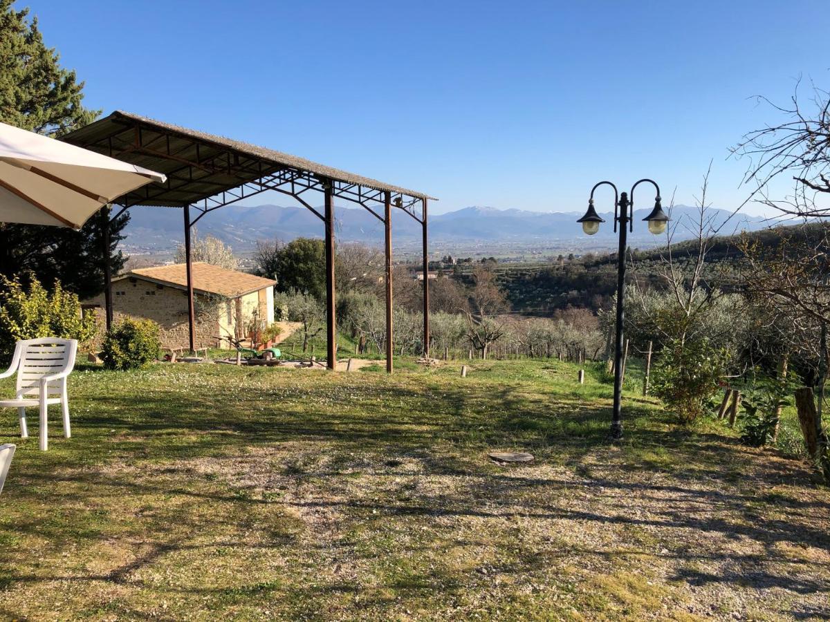 מונטפאלקו Agriturismo Camiano Piccolo מראה חיצוני תמונה