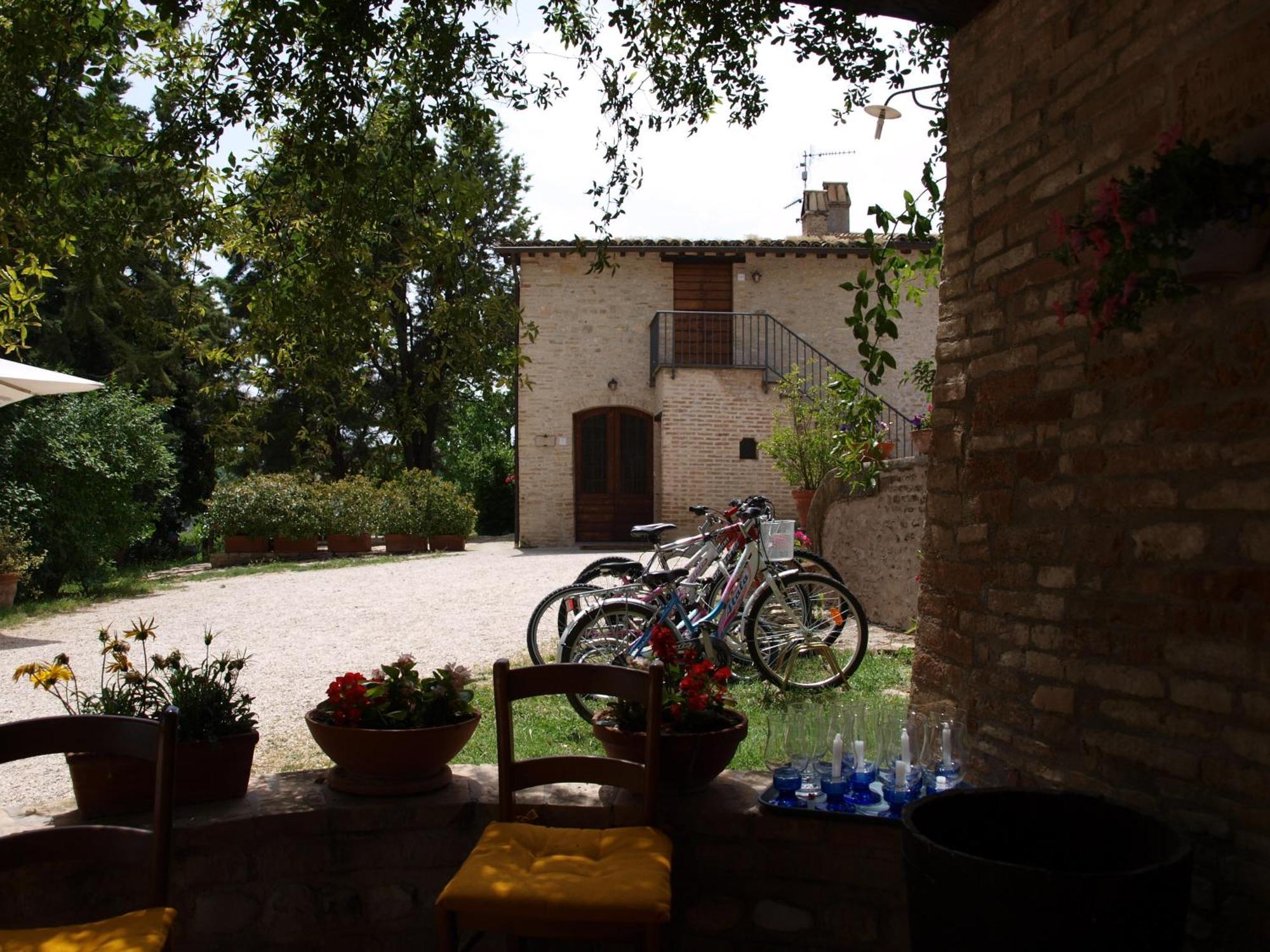 מונטפאלקו Agriturismo Camiano Piccolo מראה חיצוני תמונה